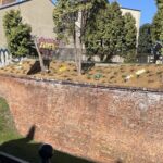 Prace pielęgnacyjne na skarpie przy ul. Grodzkiej