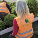 Jesienne nasadzenia w przestrzeni miejskiej