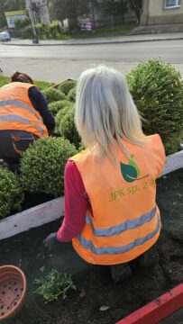 Jesienne nasadzenia w przestrzeni miejskiej