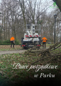 Prace porządkowe w Parku Miejskim im. Bohaterów Monte Cassino