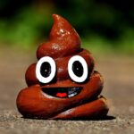 Sprzątaj po swoim czworonogu!